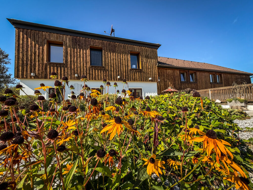 Ferienvilla Bergland mit Sonnenblumen